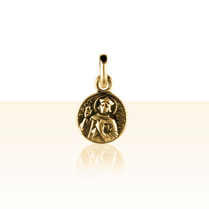 Médaille Or ST ERWANN PM                       