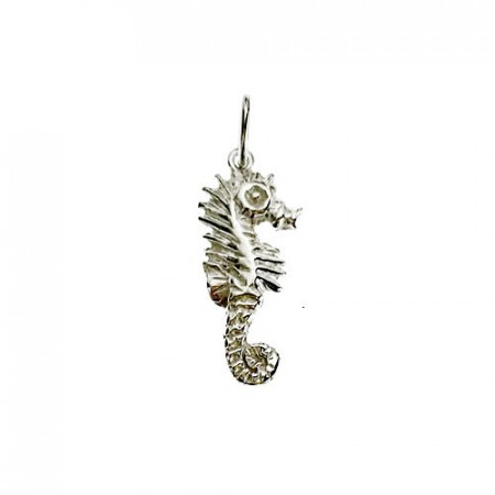 Pendentif Argent HIPPOCAMPE GM                         