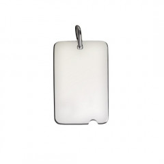 Plaque Argent UNIE ENCOCHE GM 35x24             